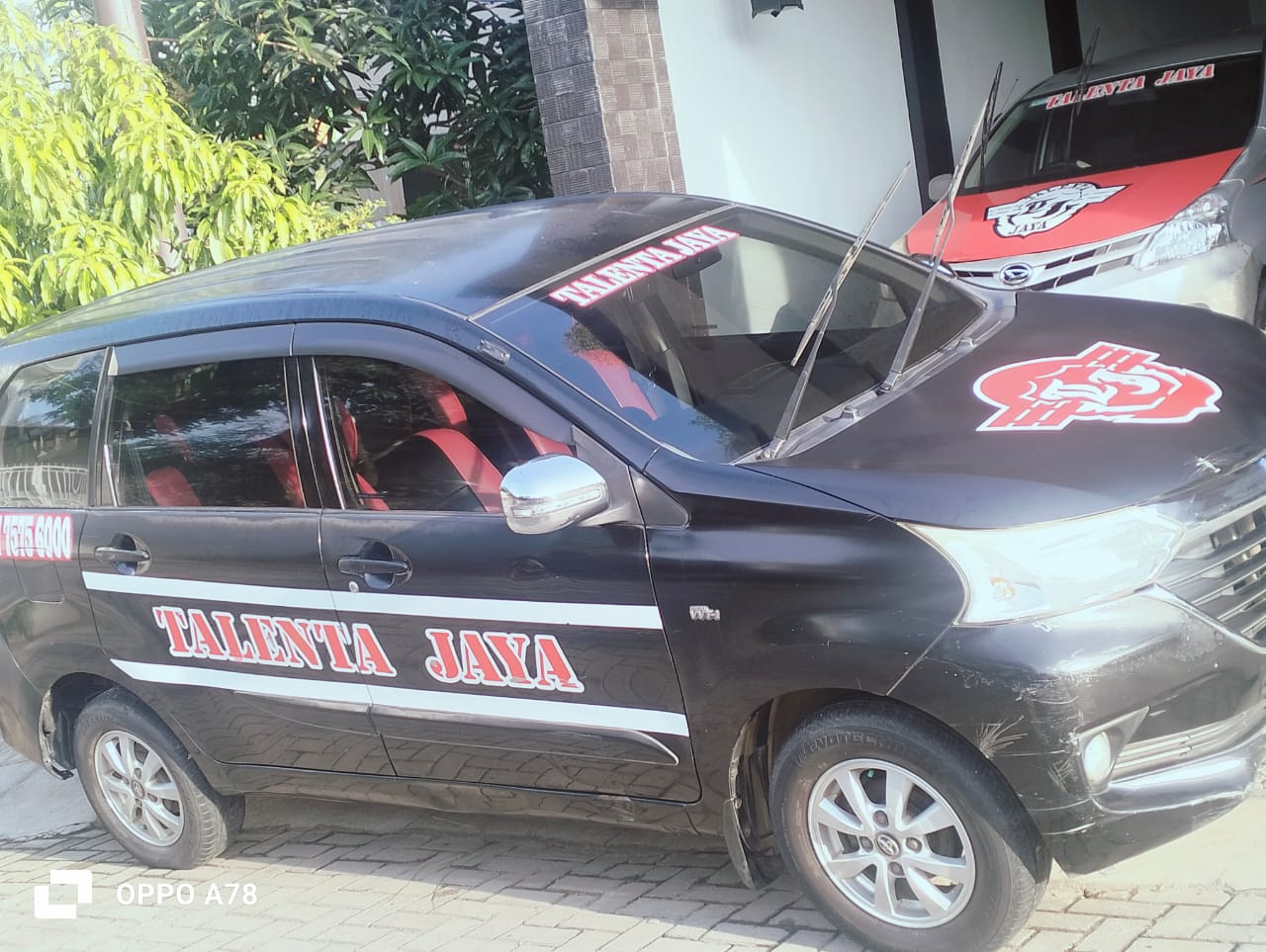 WhatsApp Image 2025-02-12 at 07.41.43